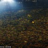 亚特兰大逆转多特，成意甲历史第三队：战术解析与球队动态全景回顾